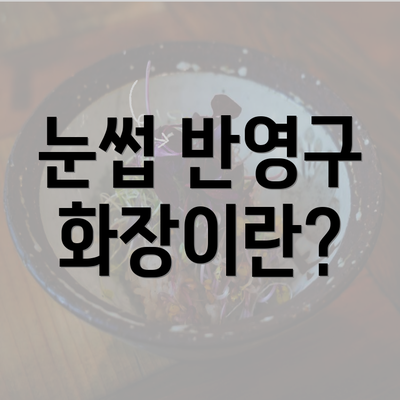 눈썹 반영구 화장이란?