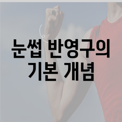 눈썹 반영구의 기본 개념