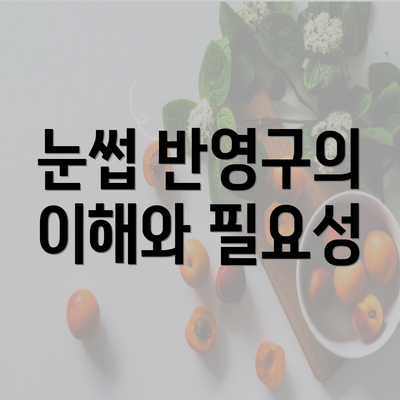 눈썹 반영구의 이해와 필요성