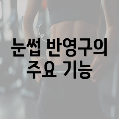 눈썹 반영구의 주요 기능