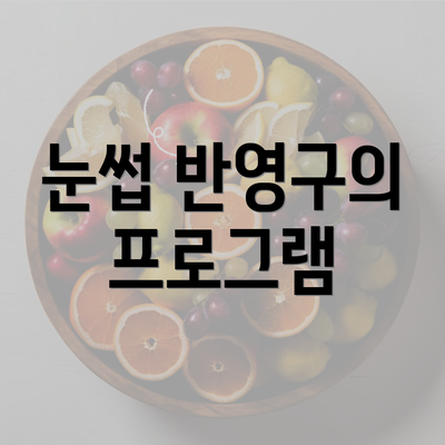 눈썹 반영구의 프로그램