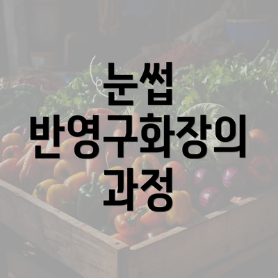 눈썹 반영구화장의 과정