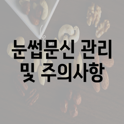 눈썹문신 관리 및 주의사항