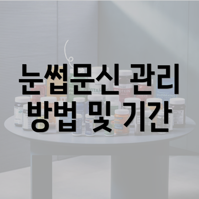 눈썹문신 관리 방법 및 기간