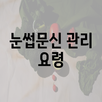 눈썹문신 관리 요령