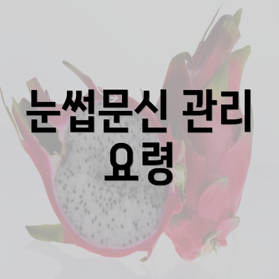 눈썹문신 관리 요령