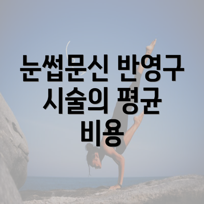 눈썹문신 반영구 시술의 평균 비용