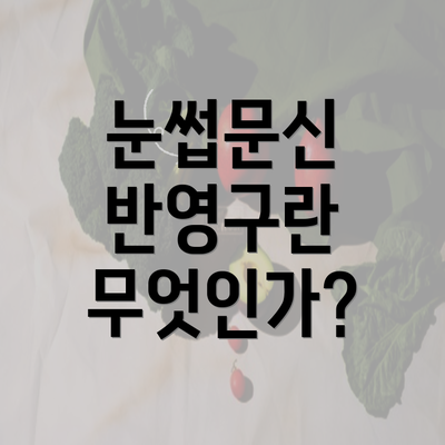 눈썹문신 반영구란 무엇인가?