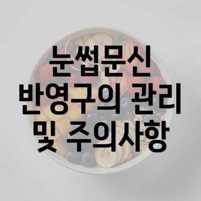 눈썹문신 반영구의 관리 및 주의사항