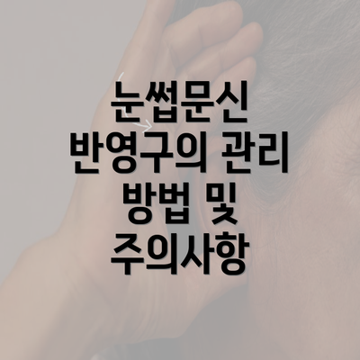 눈썹문신 반영구의 관리 방법 및 주의사항