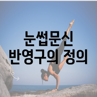 눈썹문신 반영구의 정의