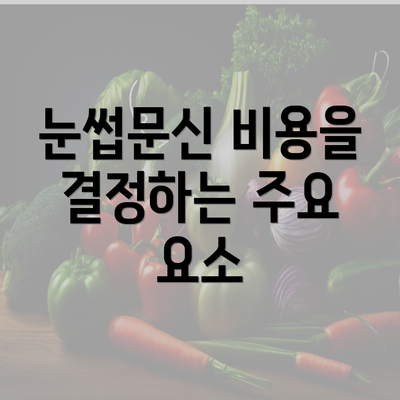 눈썹문신 비용을 결정하는 주요 요소