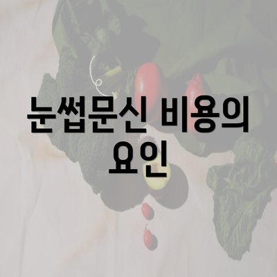 눈썹문신 비용의 요인