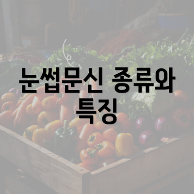 눈썹문신 종류와 특징