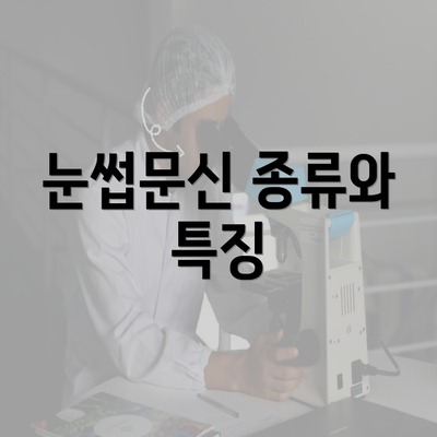 눈썹문신 종류와 특징