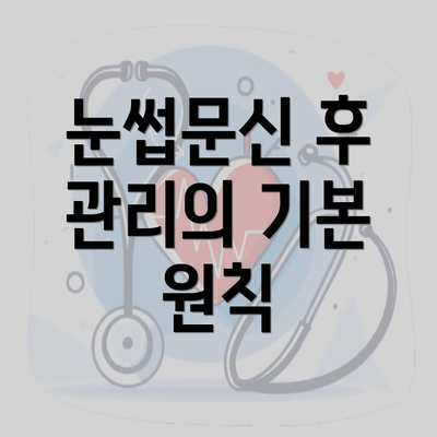 눈썹문신 후 관리의 기본 원칙