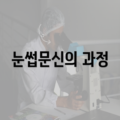 눈썹문신의 과정