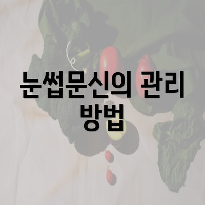 눈썹문신의 관리 방법