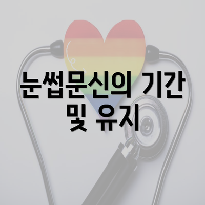 눈썹문신의 기간 및 유지