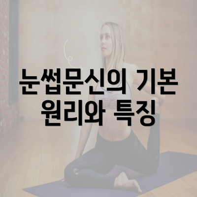 눈썹문신의 기본 원리와 특징