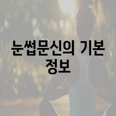 눈썹문신의 기본 정보