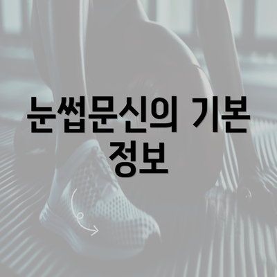 눈썹문신의 기본 정보