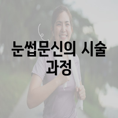 눈썹문신의 시술 과정