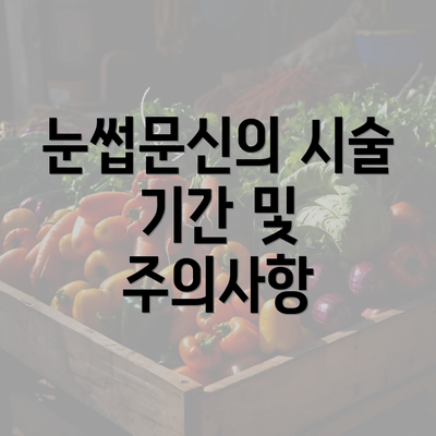 눈썹문신의 시술 기간 및 주의사항