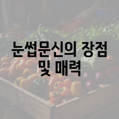 눈썹문신의 장점 및 매력