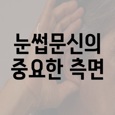 눈썹문신의 중요한 측면