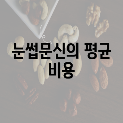 눈썹문신의 평균 비용