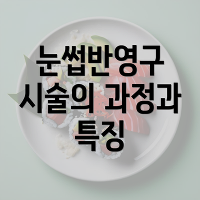 눈썹반영구 시술의 과정과 특징