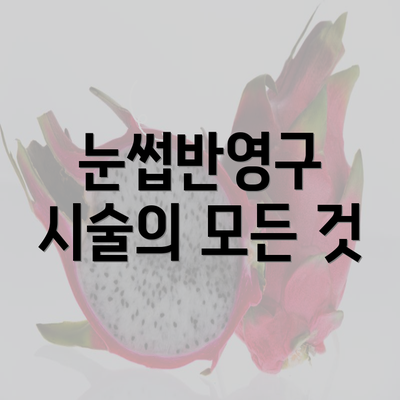 눈썹반영구 시술의 모든 것