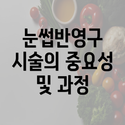 눈썹반영구 시술의 중요성 및 과정