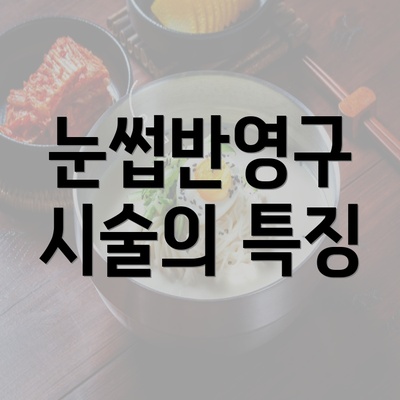 눈썹반영구 시술의 특징