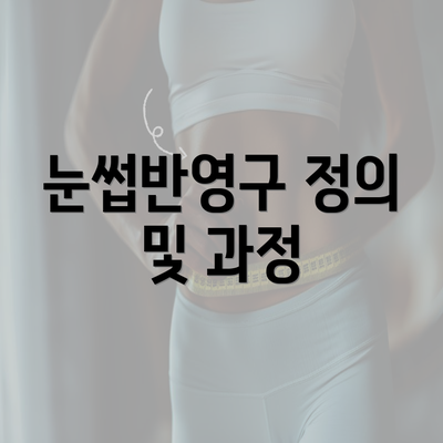 눈썹반영구 정의 및 과정