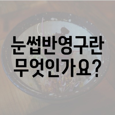 눈썹반영구란 무엇인가요?