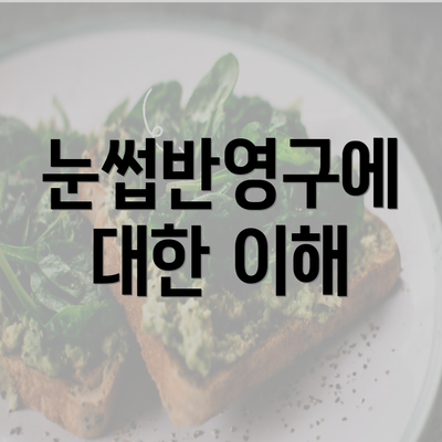 눈썹반영구에 대한 이해