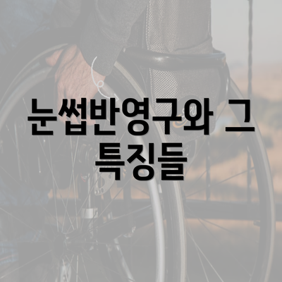 눈썹반영구와 그 특징들