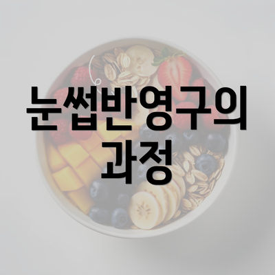 눈썹반영구의 과정