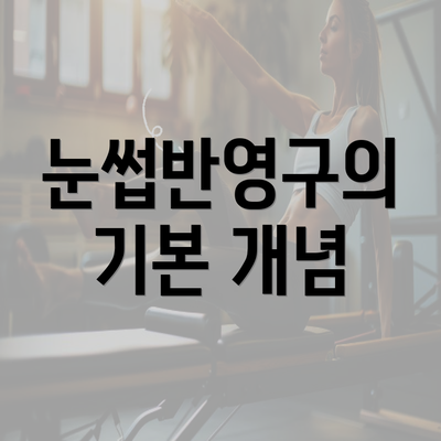 눈썹반영구의 기본 개념