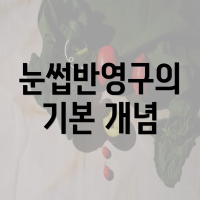 눈썹반영구의 기본 개념