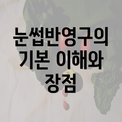 눈썹반영구의 기본 이해와 장점