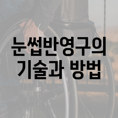 눈썹반영구의 기술과 방법