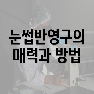 눈썹반영구의 매력과 방법