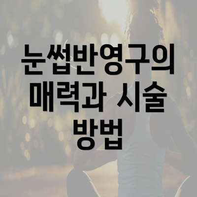 눈썹반영구의 매력과 시술 방법