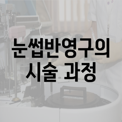 눈썹반영구의 시술 과정