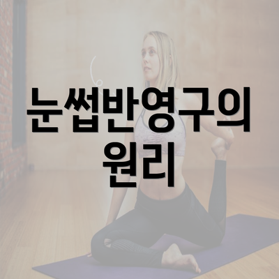 눈썹반영구의 원리