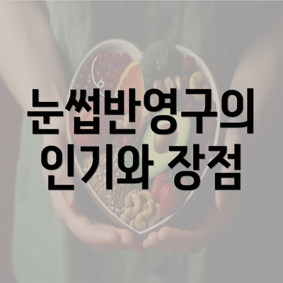 눈썹반영구의 인기와 장점