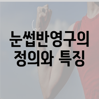 눈썹반영구의 정의와 특징